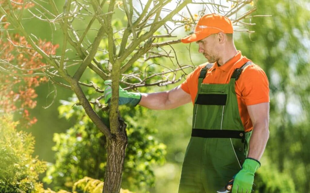 tree pruning cost